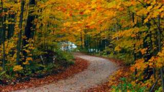 Ainda que a figueira - Fernandinho - Uma nova história Legendado