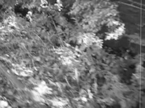 Jon Par's OLD NORTH SHORE RAILROAD Film# 308