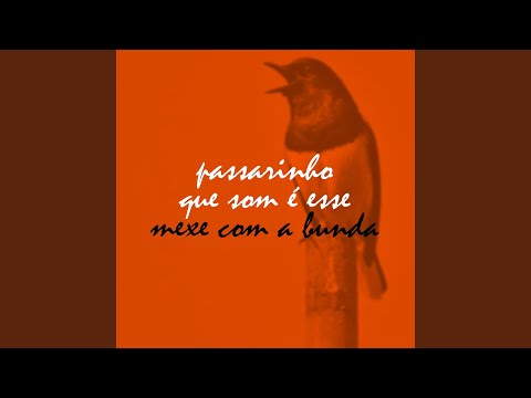 Passarinho que Som é Esse Mexe com a Bunda