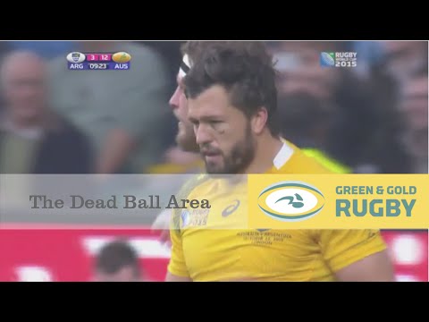 Anatomy of a Try   Ashley Cooper vs Argentina World Cup Semi Final