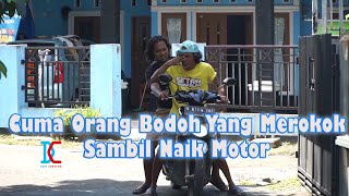 Download lagu Only Stupid People Smoke While Driving mp3 Download lagu Only Stupid People Smoke While Driving mp3