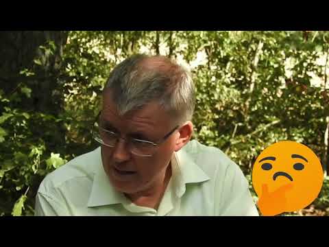 Nullpunktsenergie ↓▼↓ Freie Energie mit Prof. Dr. Claus Turtur u.  Prof. Dr. Meyl Medienzensur ↓▼↓