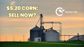 Should Farmers Reward This Grain Rally