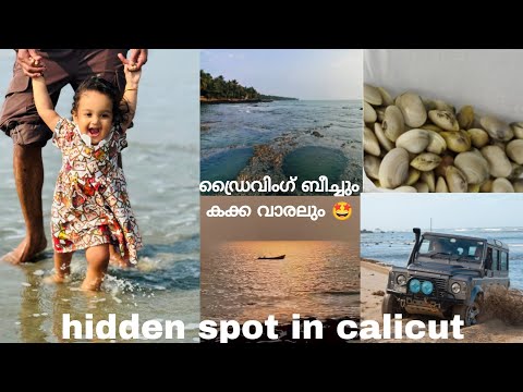 എലത്തൂർ ഡ്രൈവിംഗ് ബീച്ചിലെ കക്ക വാരലും വിശേഷങ്ങളും🏝️🚙❤️‍🔥 Hidden spot in Kozhikode 