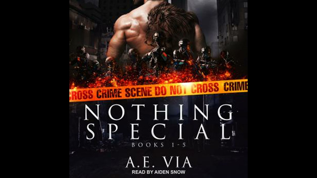 Nothing Special Series Box Set: Books 1-5 - A.E. Via