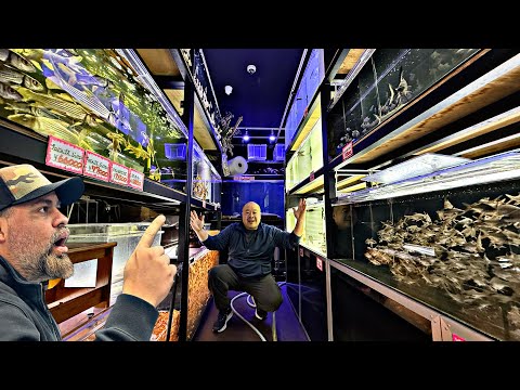 They Sell EVERYTHING at This Fish Store in Japan 😳🐠