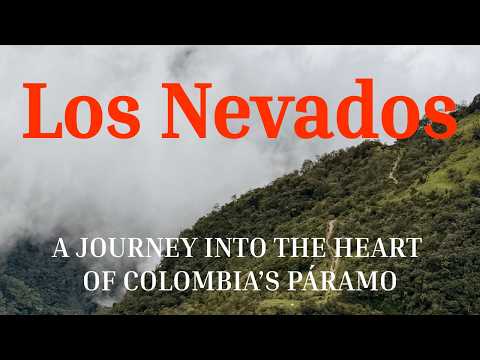 Los Nevados: a journey into the heart of Colombia’s páramo