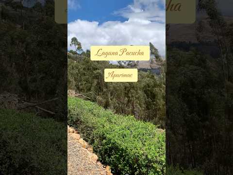 📍Laguna Pacucha, Andahuaylas. #parati #travel #viajes #peru #tips #apurimac #andahuaylas