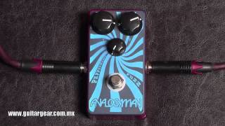 Video thumbnail for Analogman Dark Peppermint Fuzz Demo by Guitar Gear