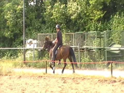 Glymmérei vom Grenzdyck 10.05.11