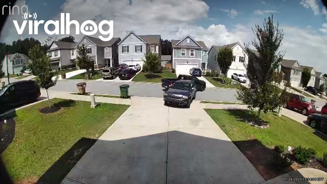 Neighbors Back Into One Another || ViralHog