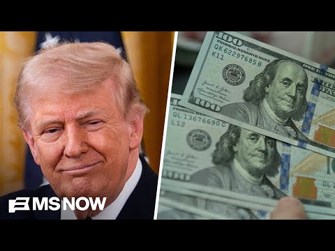 $1.8B fund ‘top of the list of the most corrupt things’ Trump has done: Dem Rep.