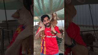 ذكريات أقوى كلان في العالم 🥲🐐 !!