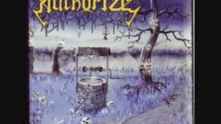 Authorize - silent nocturnal symphony