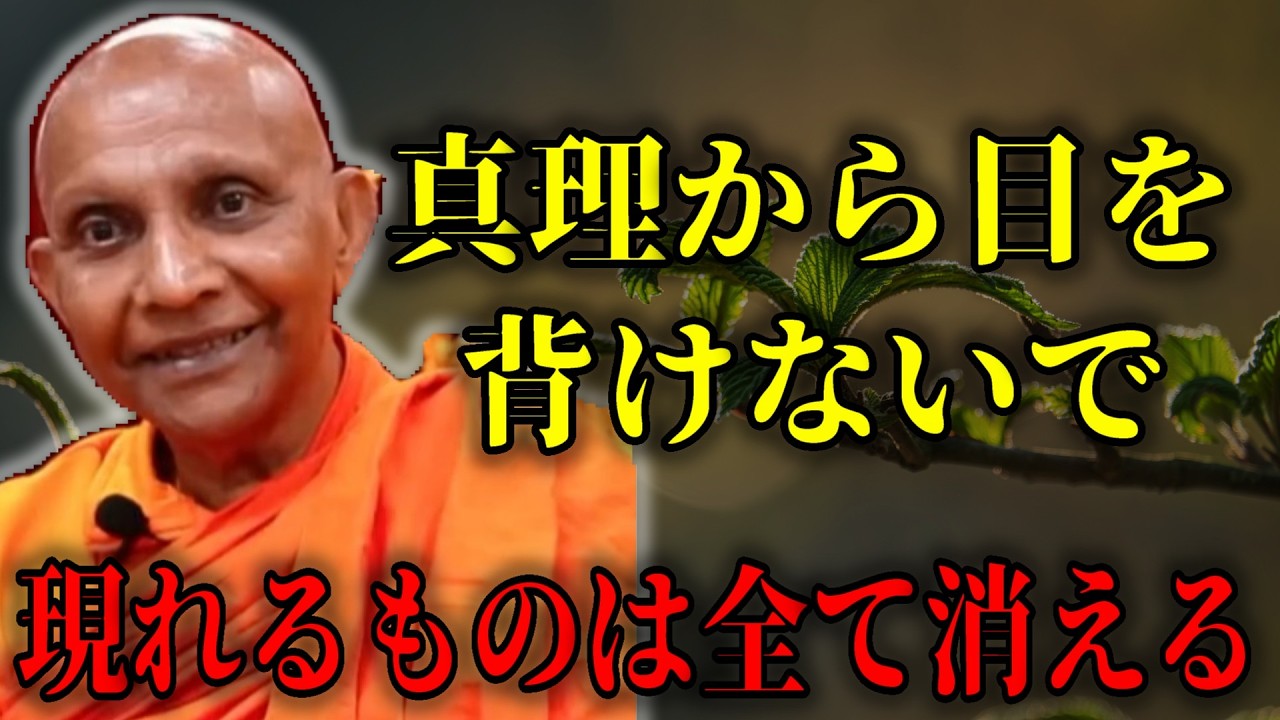 真理から目を背けないで下さい『現れるものは何でも消える』【スマナサーラ長老切り抜き】