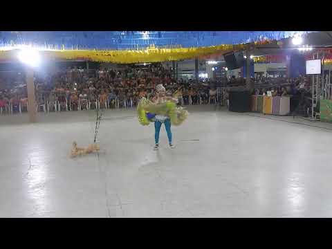 Miss Caipira Eduarda Morais da Quadrilha Forró Sanfonado - Ananindeua Pará 🇧🇷
