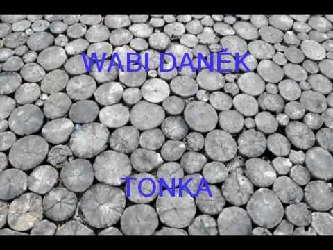 WABI DANĚK   TONKA