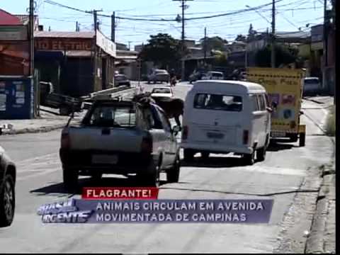 Brasil Urgente Campinas 05 07 2012 - bloco 03