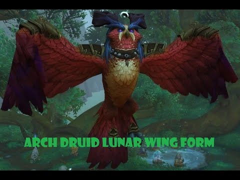 Arch Druid Lunar Wing Form