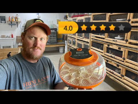 Bestbewerteter Amazon-Inkubator!