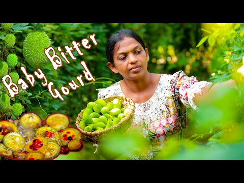 bitter taste or not spiny gourd food recipes / thumba karawila curry | mali cooking in nature