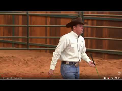 Discussion About Dangerous Horse: Clinton Anderson - Blue In Your Face  - 4