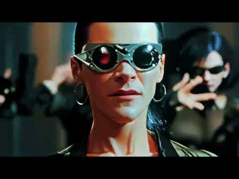 Yomil ❌ Pichito y Lesny ❌ Los datway - Chingawiki ( video oficial)