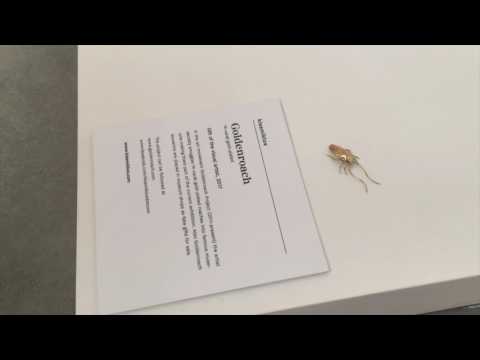 Goldenroach — La Biennale di Venezia