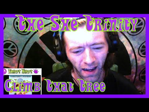 Climb That Tree- The She Trinity (REACTION)