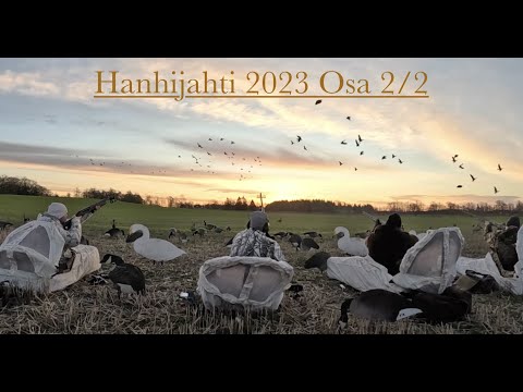Hanhijahti 2023 Osa 2/2