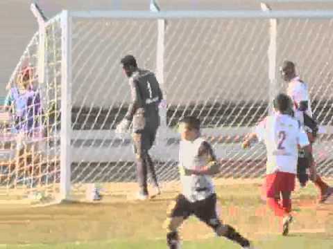 Gols de Portuguesa x Novo Operário