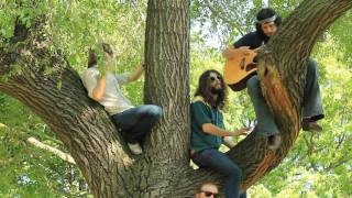 The Sheepdogs - Southern Dreaming | Live in Bellwoods NXNE picnic