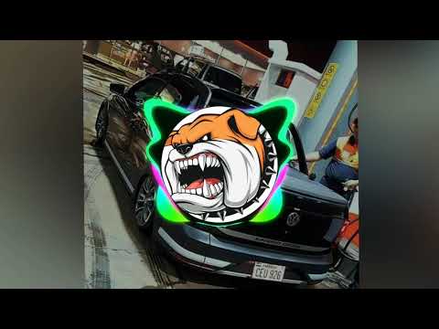 Mc Tetheus - Rebombava Todo Dia (lançamento 2019) dogs produções