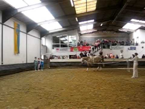 Sofie Einzel Kür in Borghorst