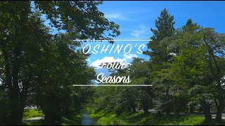 【忍野村公式】総集編 ＜Short Ver.＞〜OSHINO'S Four Seasons〜＜2024＞