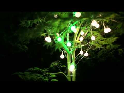 Cancer Stem Cell Theory and Research