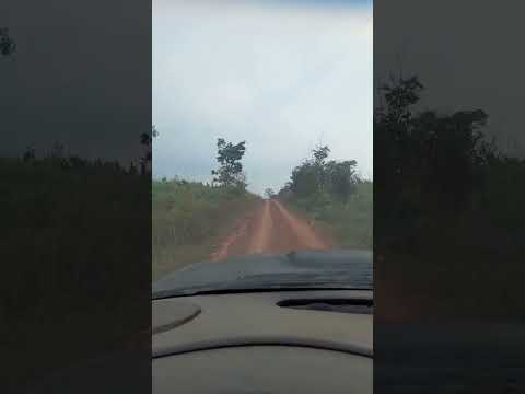 ramal eletrônico Senador Guiomard acre #viral