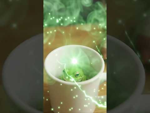 Video cover