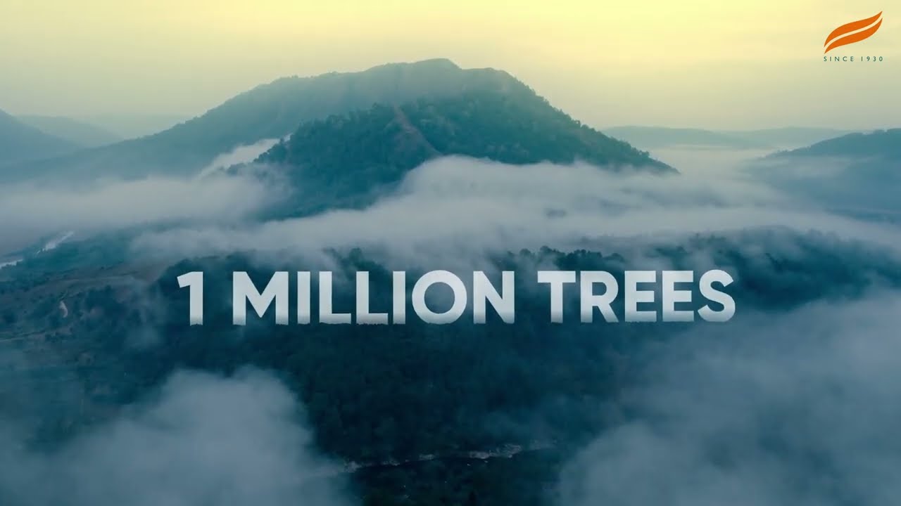 One Million Trees