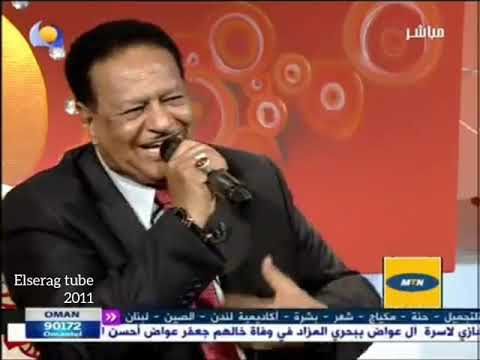 صلاح بن البادية