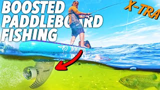 Electric Paddleboard Fishing | Boost Surfing Fin on Pelican Paddle Board for the