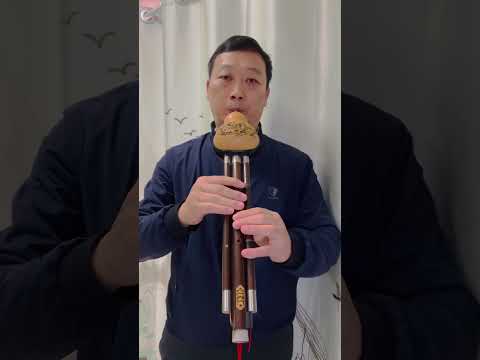 《First  light》F key Hulusi practice #hulusi #葫芦丝 #diziflute @Dan Tang