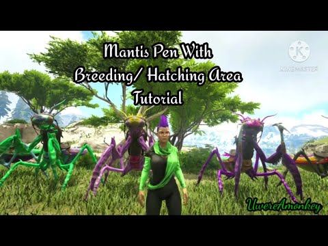 Mantis Pen with breeding/hatching station.