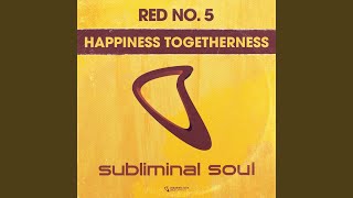Happiness Togetherness (E Smoove Classic Dub Mix)