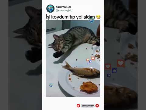 Bak sen şunun aklına 😂