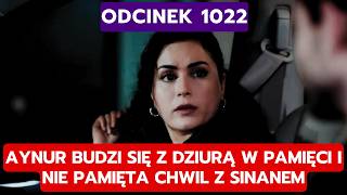 DZIEDZICTWO, ODCINEK 1022: AYNUR BUDZI SIĘ Z DZIURĄ W PAMIĘCI I NIE PAMIĘTA CHWI
