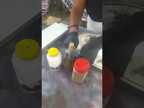 Pescado 🐟 Fresco Laguna del Sauce Maldonado Uruguay 🇺🇾 👌🥰♥️