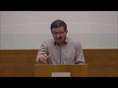 Nelu Zlibuț - Bătălia la nivelul minții