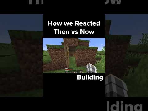 Mind-Blowing Reaction in Minecraft! You Won't Believe What SocksApollo Did!