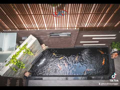 Cải tạo hồ cá Koi tại Biên Hòa